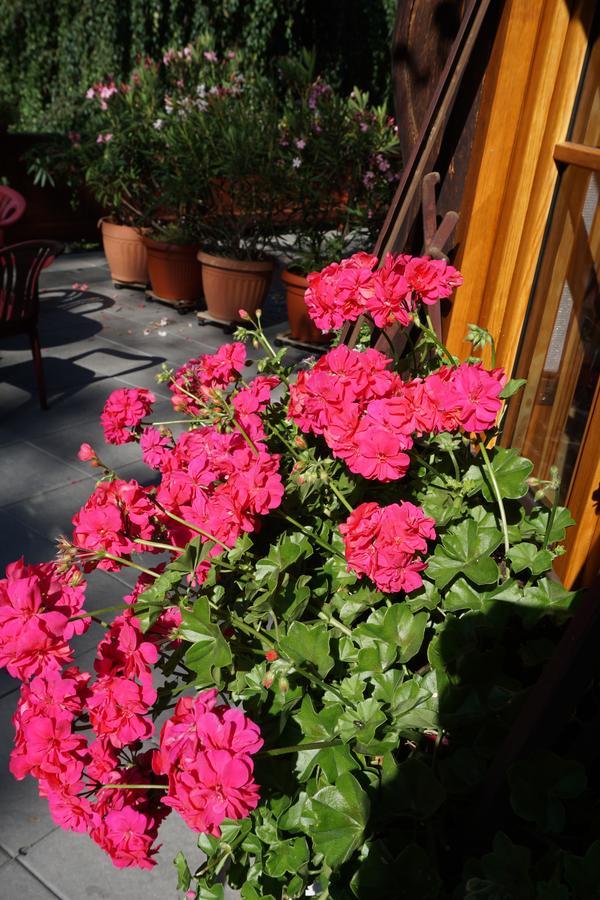 Haus Sonnenblick Hotel Bayrischzell Luaran gambar