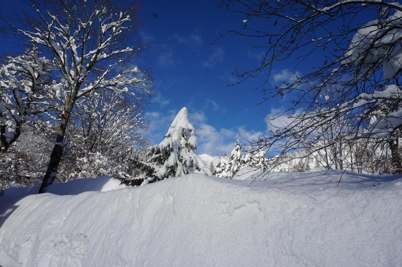 Haus Sonnenblick Hotel Bayrischzell Luaran gambar